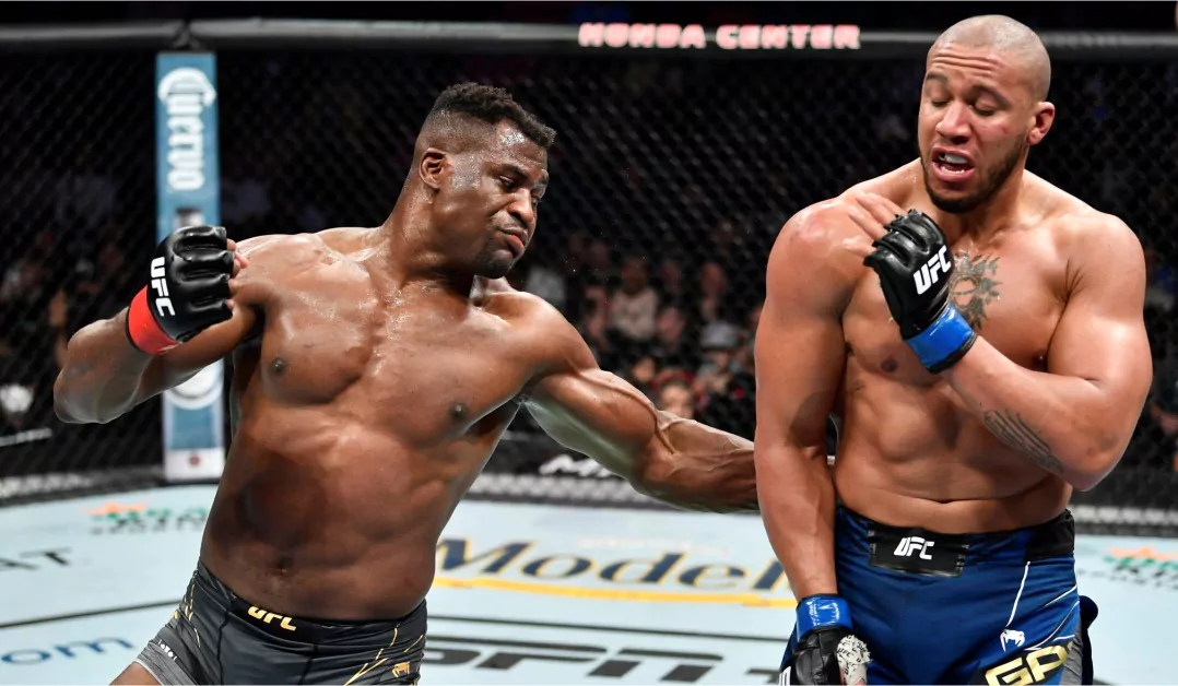 Top 30 des combattants MMA les plus riches en 2023; Francis Ngannou et Ciryl Gane absents