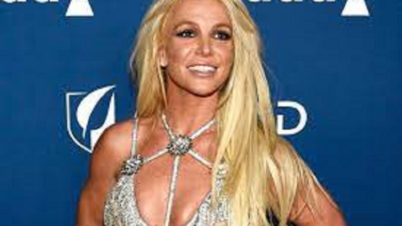 Britney Spears: the singer celebrates her 42nd birthday